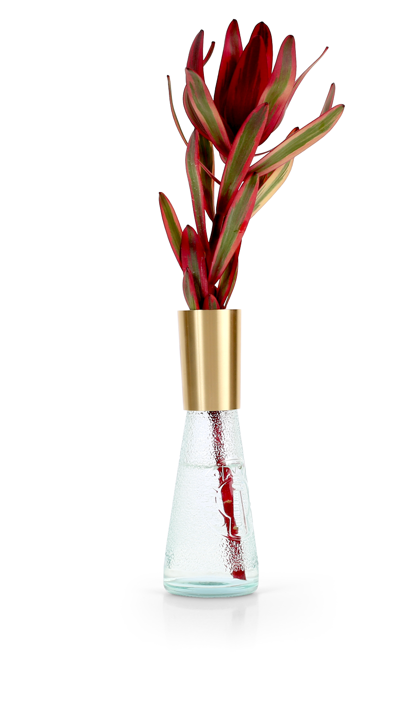 SODA als Vase mit Blume